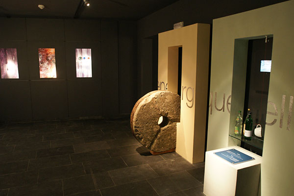 "MAGIA DELL’ACQUA" MUSEO IN CANONICA A LAPPAGO